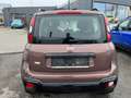 Fiat Panda Trussardi 1,2 Braun - thumbnail 6