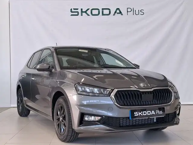 2026 Skoda Fabia in Grey for sale
