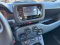 Fiat Panda Panda 1.0 FireFly Hybrid, IN GARANZIA, PRONTA CON Nero - thumbnail 10