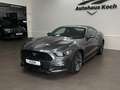Ford Mustang MUSTANG 2.3 ECOBOOST #NEUWERTIG & #BILDHÜBSCH Grijs - thumbnail 20