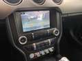 Ford Mustang MUSTANG 2.3 ECOBOOST #NEUWERTIG & #BILDHÜBSCH Grijs - thumbnail 16