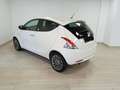Lancia Ypsilon 3ª serie 1.2 69 CV 5 porte GPL Ecochic Silver Blanc - thumbnail 4
