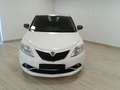 Lancia Ypsilon 3ª serie 1.2 69 CV 5 porte GPL Ecochic Silver Blanc - thumbnail 2