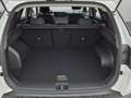 Hyundai TUCSON TUCSON NX4 Jubilé 1,6 T-GDi HEV 4WD AT - t6hj2 Weiß - thumbnail 20