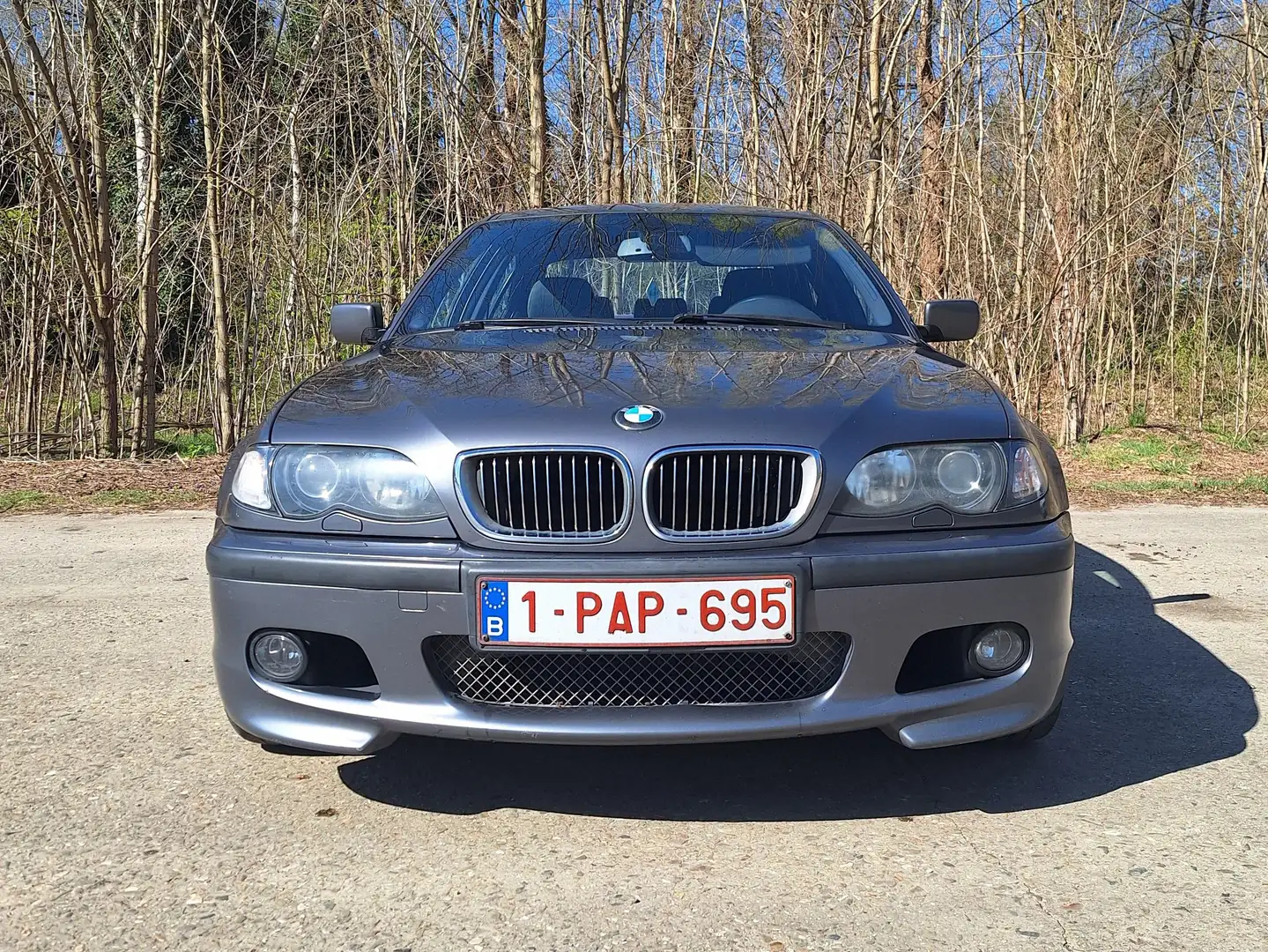 BMW 320 320i Edition Sport Šedá - 1