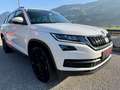 Skoda Kodiaq 2.0 TDI Ambition 4x4 20zoll Weiß - thumbnail 4