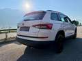 Skoda Kodiaq 2.0 TDI Ambition 4x4 20zoll Weiß - thumbnail 12