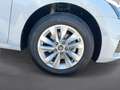 Skoda Octavia Essence TSI Weiß - thumbnail 5