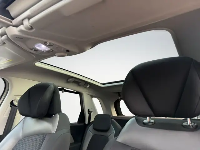Citroen C4 Picasso view 29