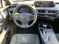 Lexus UX 200 Hybrid 4WD Executive Зелений - thumbnail 11