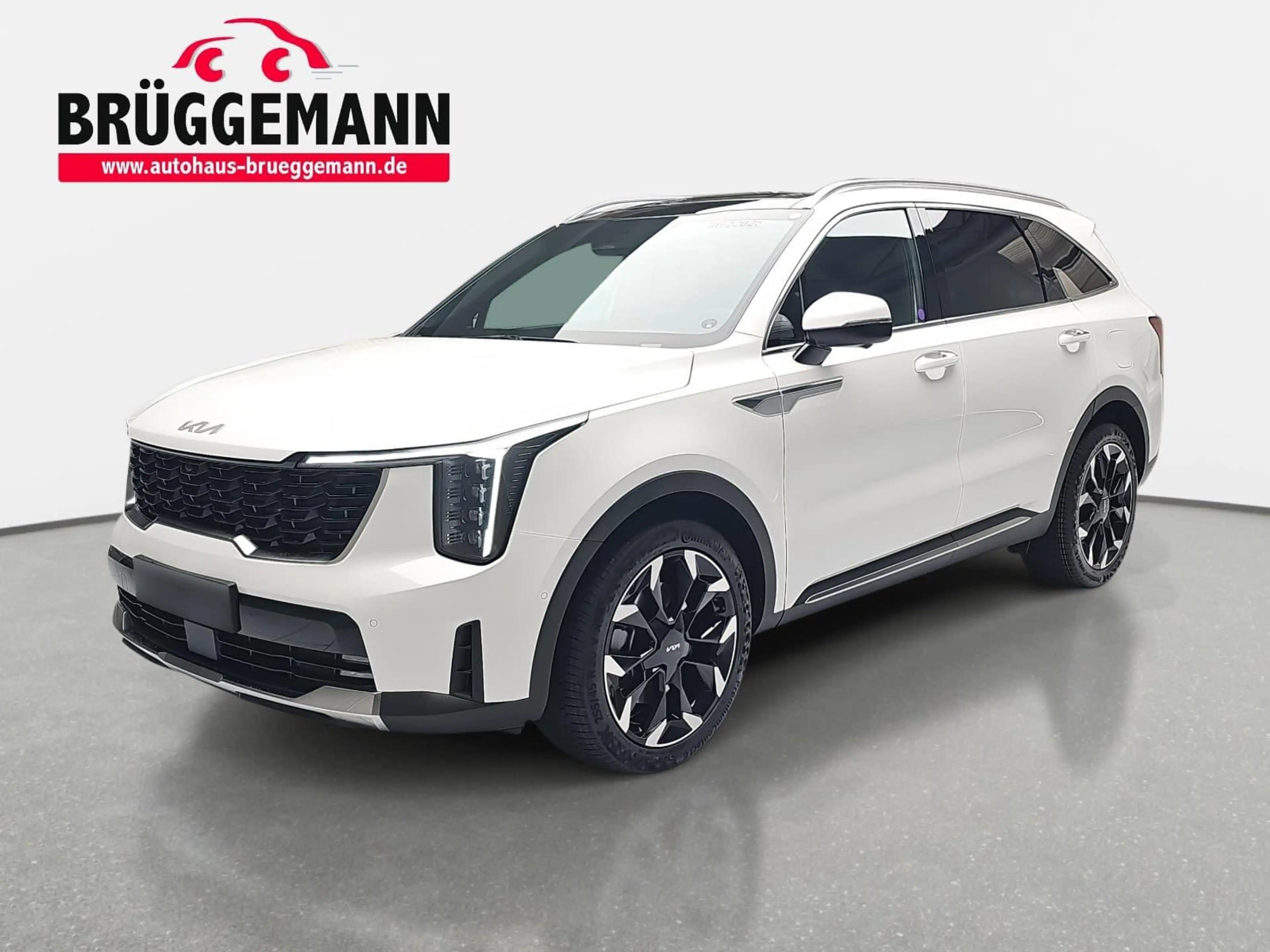 Kia Sorento SORENTO 2.2 CRDI AWD DCT8 PLATINUM LEDER NAPPA PRE