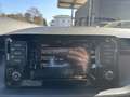 Skoda Scala 1,6 TDI Ambition DSG Rot - thumbnail 22