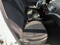 Kia Picanto Picanto II 2011 1.0 City Limited 5p Білий - thumbnail 17