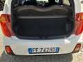 Kia Picanto Picanto II 2011 1.0 City Limited 5p Bianco - thumbnail 10