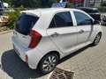 Kia Picanto Picanto II 2011 1.0 City Limited 5p Bianco - thumbnail 7