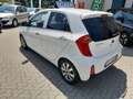 Kia Picanto Picanto II 2011 1.0 City Limited 5p Bianco - thumbnail 8