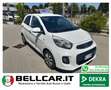 Kia Picanto Picanto II 2011 1.0 City Limited 5p Bianco - thumbnail 1