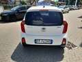 Kia Picanto Picanto II 2011 1.0 City Limited 5p Bianco - thumbnail 6