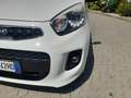 Kia Picanto Picanto II 2011 1.0 City Limited 5p Bianco - thumbnail 5