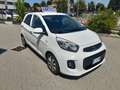 Kia Picanto Picanto II 2011 1.0 City Limited 5p Bianco - thumbnail 3