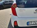 Kia Picanto Picanto II 2011 1.0 City Limited 5p Bianco - thumbnail 9