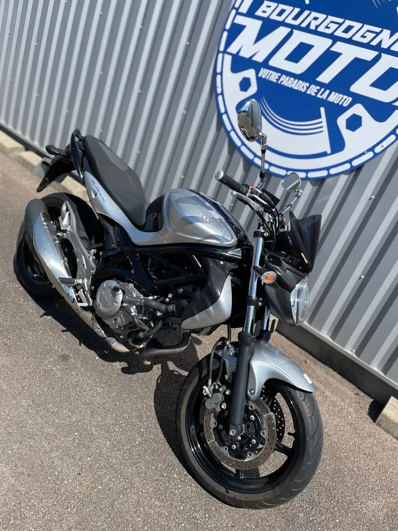 Suzuki Gladius 650 Gris - 2
