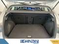 Volkswagen Golf Golf 1.0 eTSI EVO DSG Life Argento - thumbnail 13