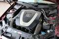 Mercedes-Benz CLK 350 MB Scheckheft 1 Besitzer S-Dach Bi-Xenon Rojo - thumbnail 24