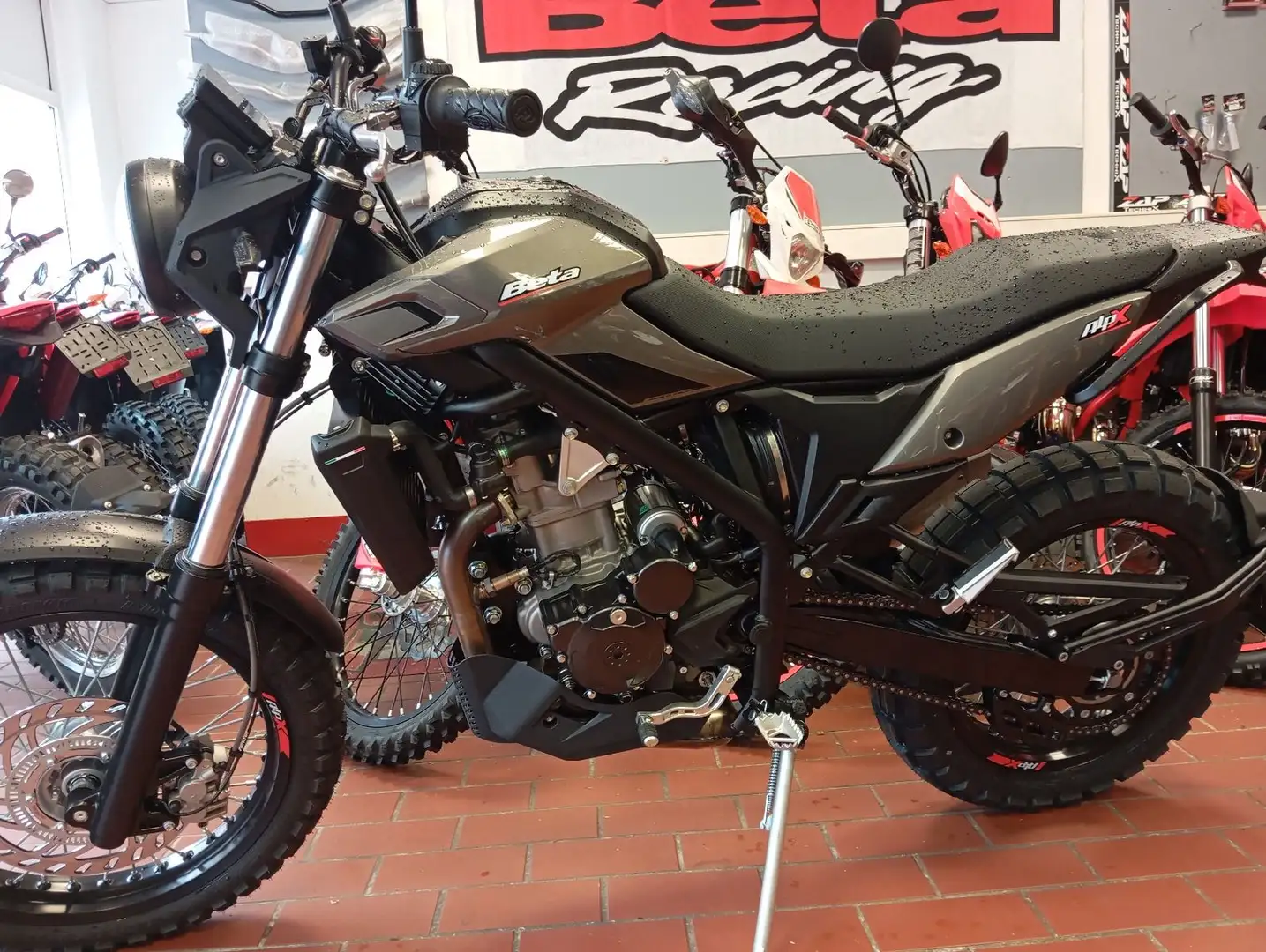 Beta Alp X Scrambler 350  grau Gris - 1