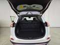 Toyota RAV 4 Hybrid Wit - thumbnail 17