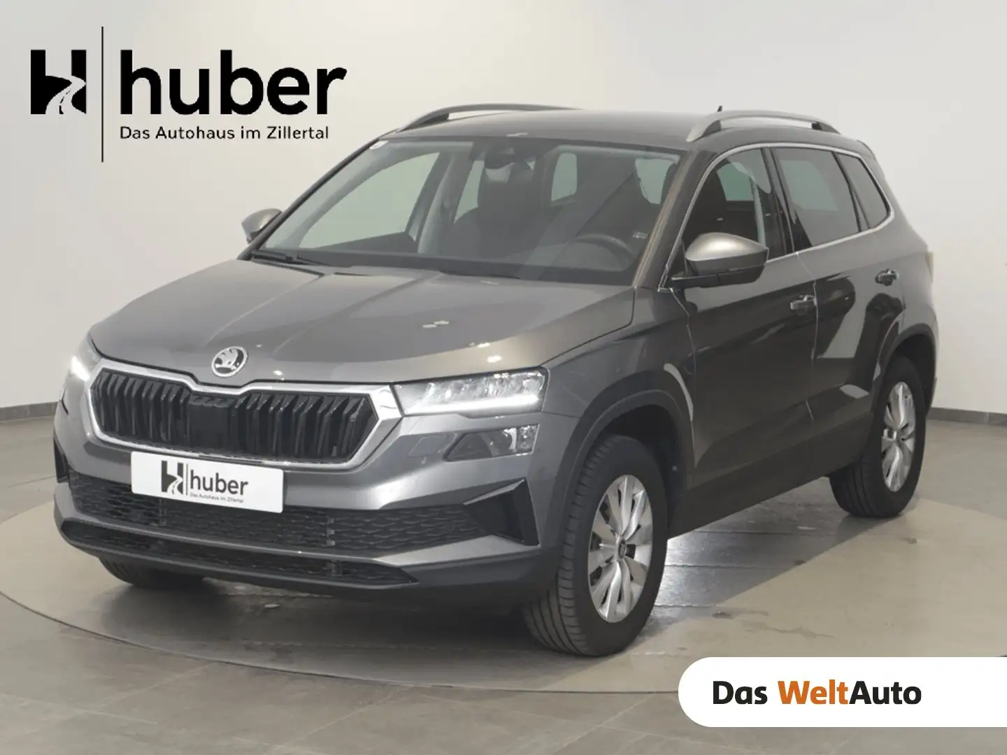 Skoda Karoq 4x4 Selection TDI DSG Grau - 1