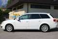 SEAT Exeo ST Chili&Style 2,0 TDI CR Weiß - thumbnail 7