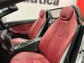 Mercedes-Benz SLK 280 V6 EDITION 10 Plateado - thumbnail 9