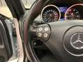 Mercedes-Benz SLK 280 V6 EDITION 10 Plateado - thumbnail 38