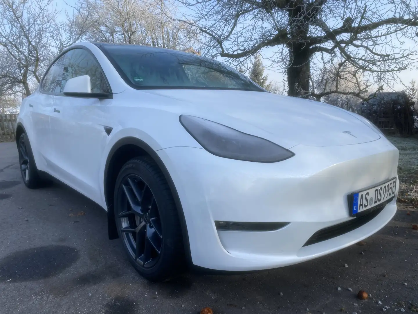 Tesla Model Y Long Range Dual Motor AWD - 2