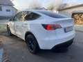 Tesla Model Y Long Range Dual Motor AWD - thumbnail 11
