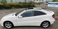 Mercedes-Benz CL 200 Sport/Evolution/Gar Insp&Tüv Neu Weiß - thumbnail 1
