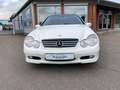 Mercedes-Benz CL 200 Sport/Evolution/Gar Insp&Tüv Neu Weiß - thumbnail 3