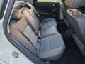 SEAT Ibiza 5p 1.0 tsi Connect s&s 95cv - thumbnail 13
