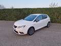 SEAT Ibiza 5p 1.0 tsi Connect s&s 95cv - thumbnail 2