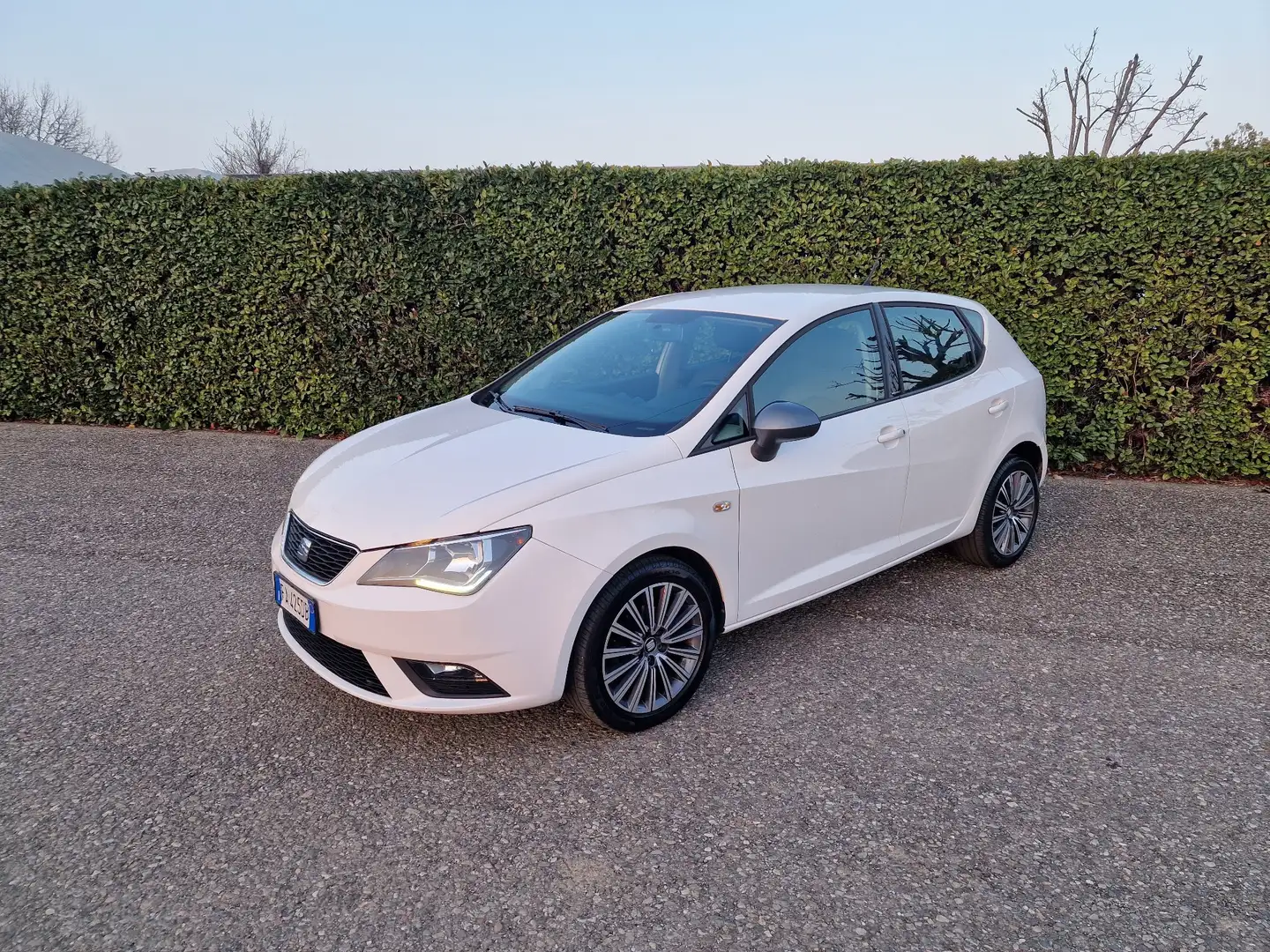 SEAT Ibiza 5p 1.0 tsi Connect s&s 95cv - 2
