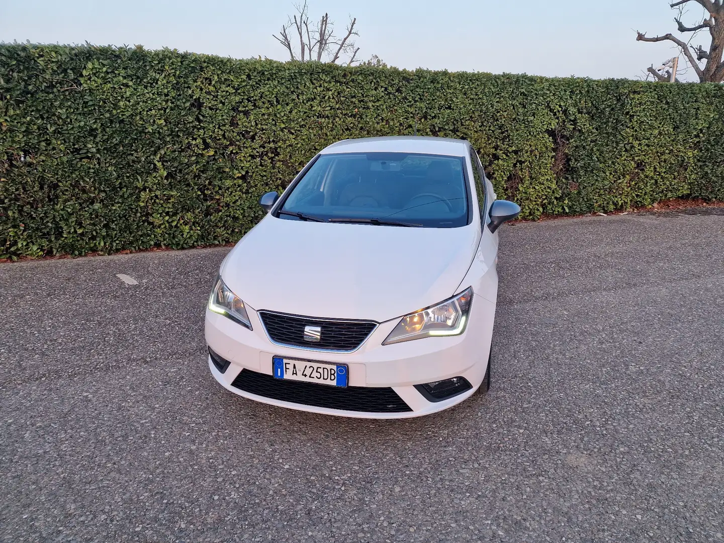 SEAT Ibiza 5p 1.0 tsi Connect s&s 95cv - 1