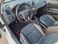 SEAT Ibiza 5p 1.0 tsi Connect s&s 95cv - thumbnail 10