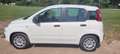 Fiat Panda Panda/Pandina 1.2 Easy Weiß - thumbnail 4