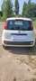 Fiat Panda Panda/Pandina 1.2 Easy Weiß - thumbnail 2