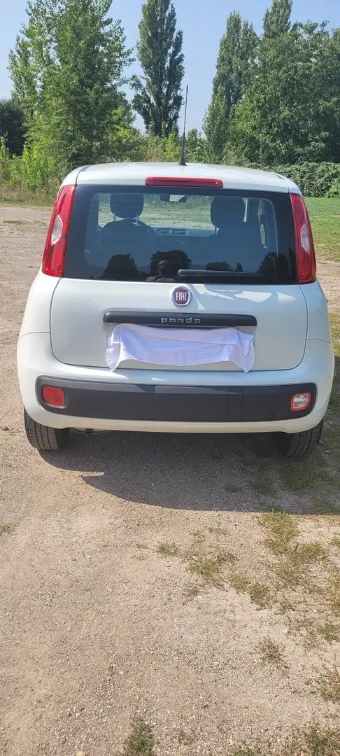 Fiat Panda Panda/Pandina 1.2 Easy Weiß - 2