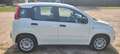 Fiat Panda Panda/Pandina 1.2 Easy Weiß - thumbnail 1