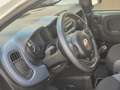 Fiat Panda Panda/Pandina 1.2 Easy Weiß - thumbnail 5