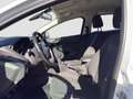 Ford Focus Kombi 1.6 Winterpaket Weiß - thumbnail 7