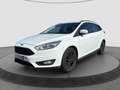 Ford Focus Kombi 1.6 Winterpaket Weiß - thumbnail 1